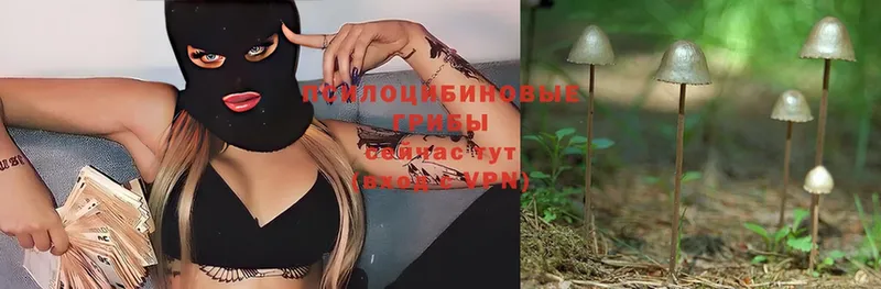 Псилоцибиновые грибы Magic Shrooms  Уссурийск 